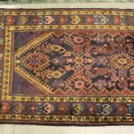 858 4207 ORIENTAL RUG